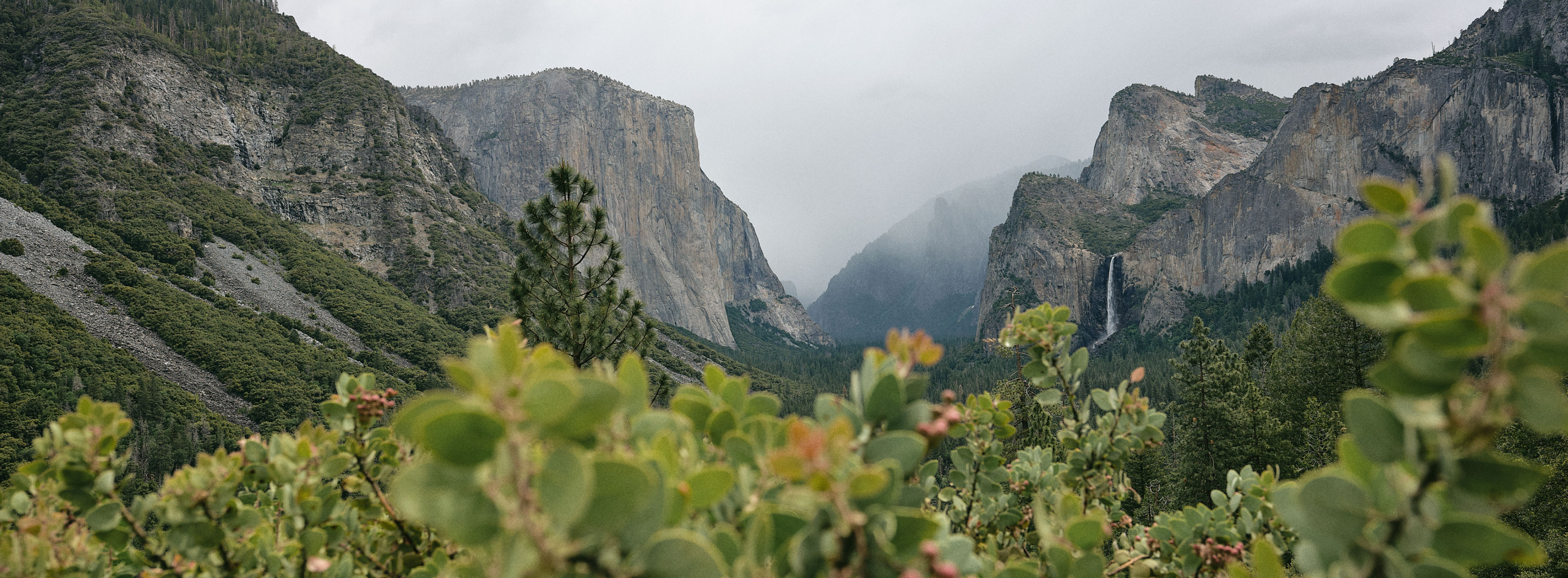 Yosemite Valley