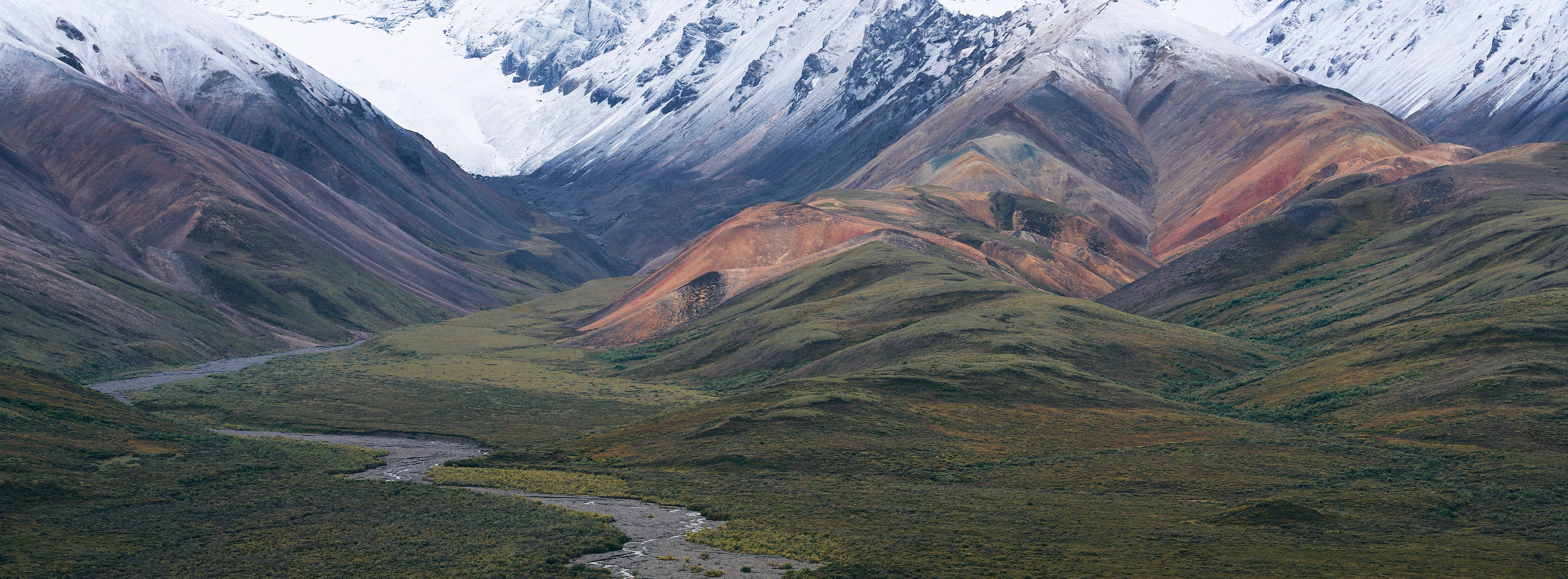 Denali NP Hills